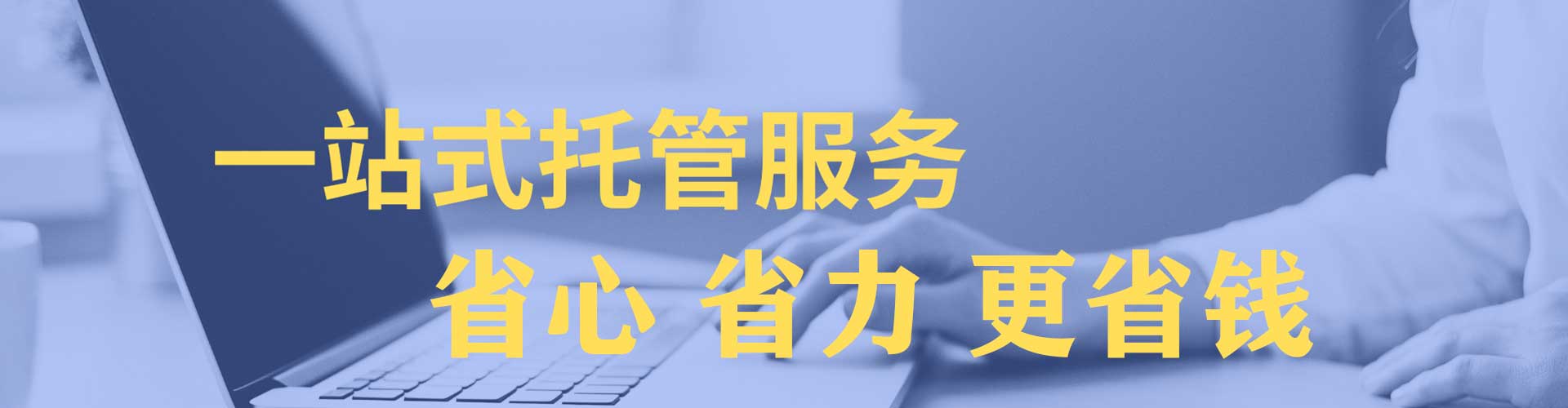 龙凤sem优化师